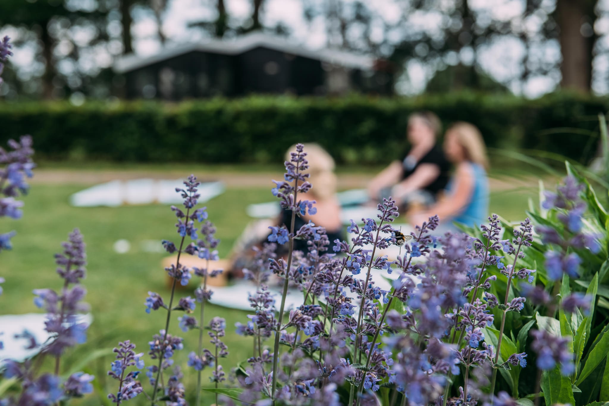 Geniet van een oase van groen in onze weelderige tuin bij De Schildhoeve Buitengewoon