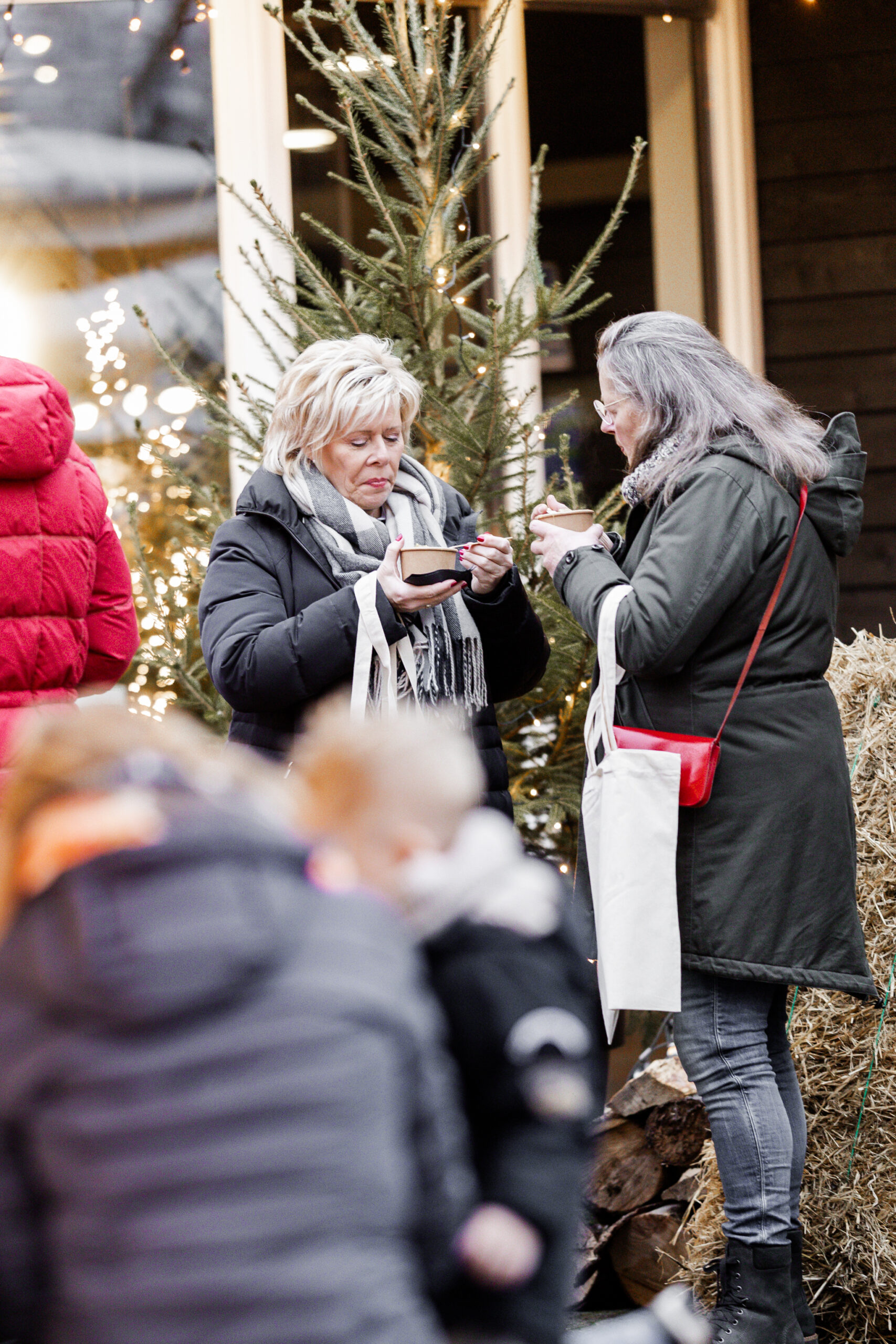 DeSchildhoeve-Buitengewoon-Kerstmarkt-webKerstborrels-Drenthe-