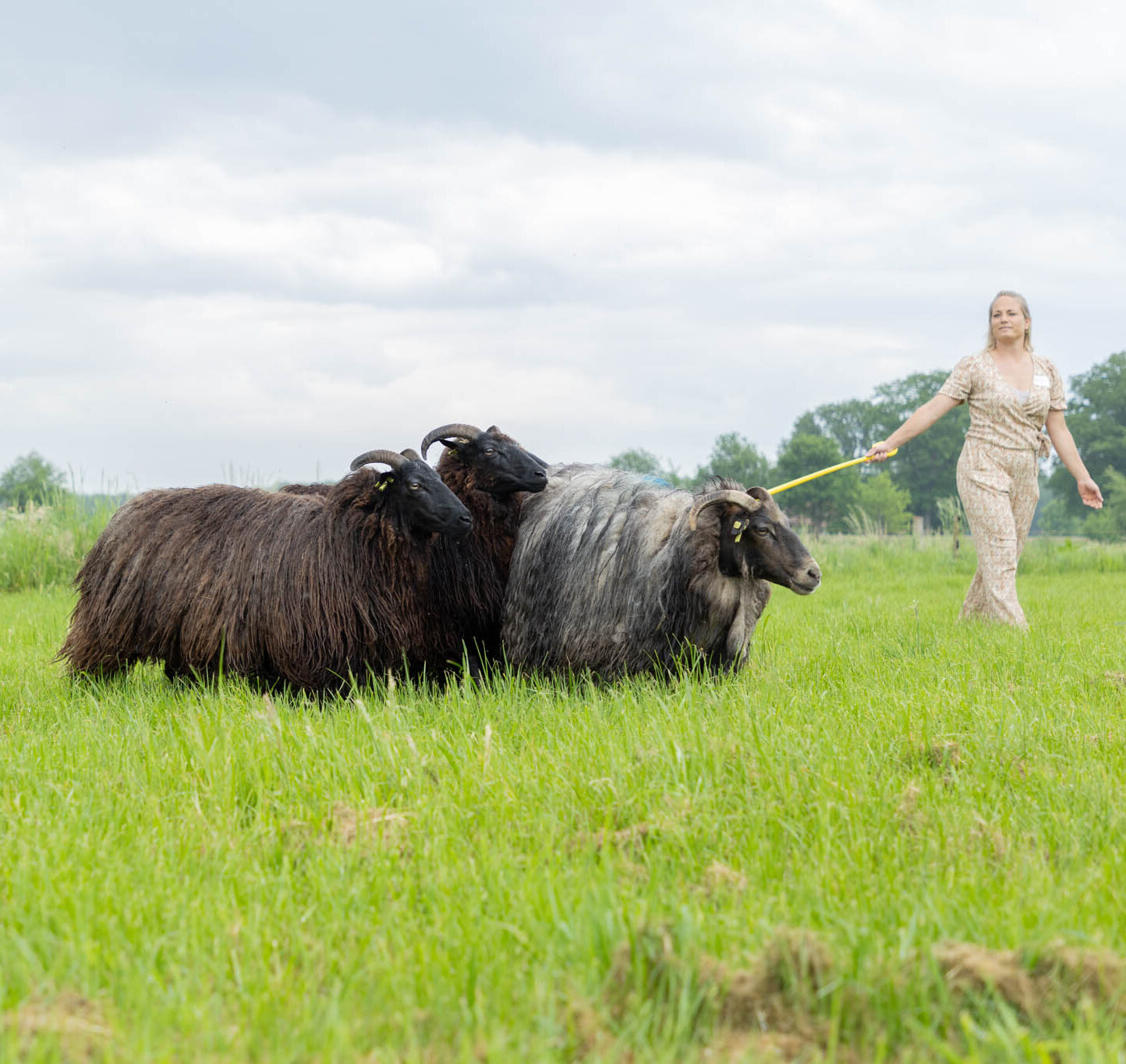 Teambuilding Drenthe - De Schildhoeve Buitengewoon