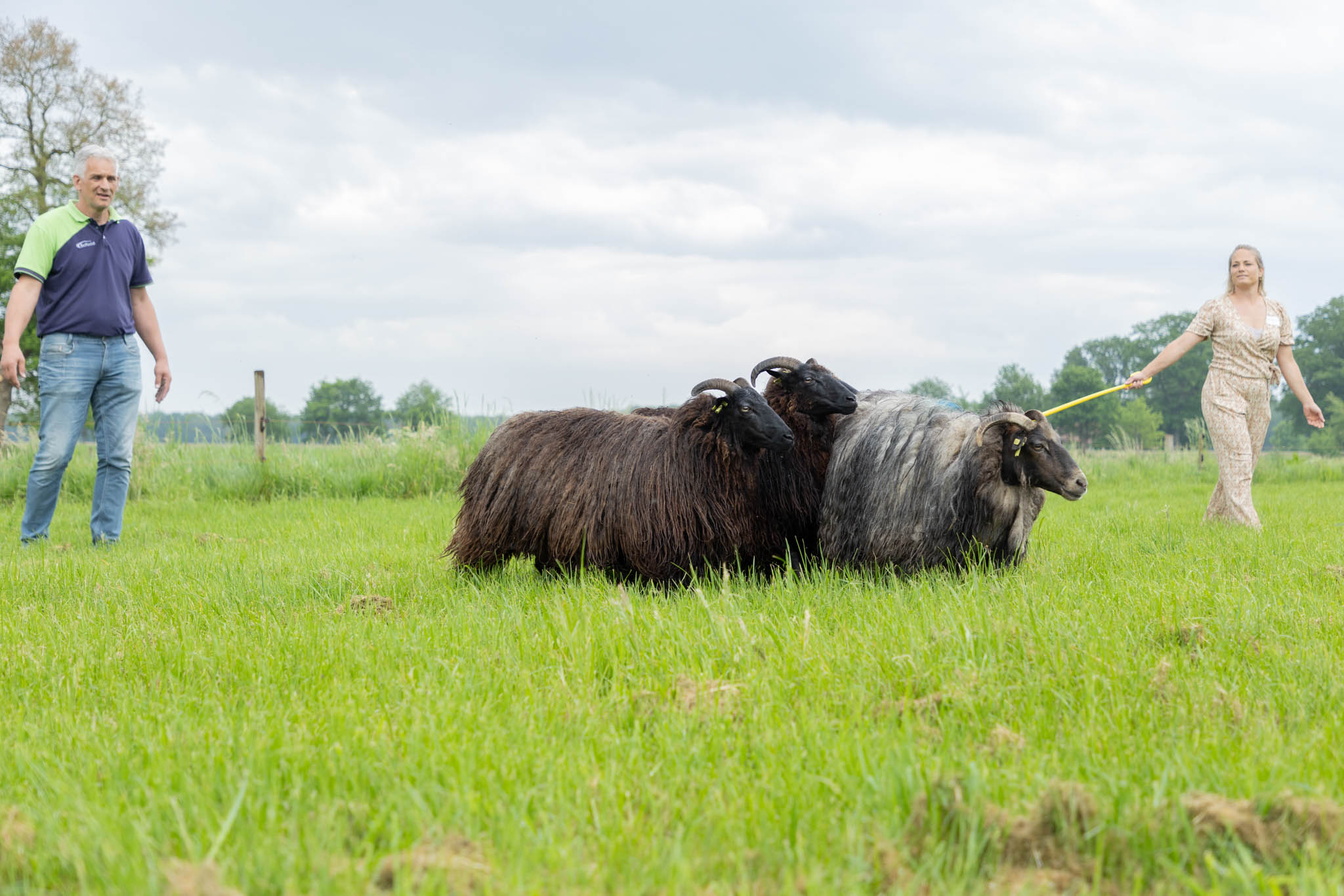 Teambuilding Drenthe - De Schildhoeve Buitengewoon
